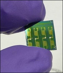 Circuitcloseup.jpg