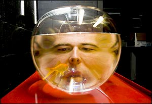 fisheye.jpg