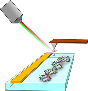 MagneticSensor.jpg