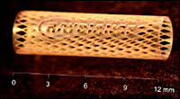 RaydianceStent.jpg