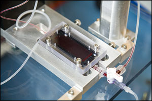 CTC-closeup.jpg
