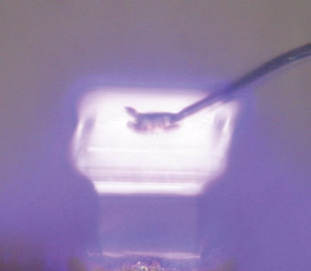 CoolLED-Fig-2_article-Image-8-Bare-LED-Die.jpg