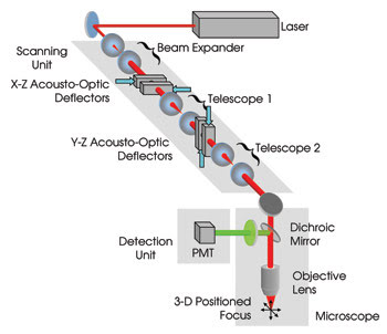 TSMulti_Fig-1_3DRAMP.jpg