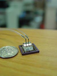 BRChip_Fig-1_photograph.jpg