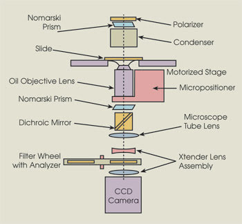 TSFig1.jpg