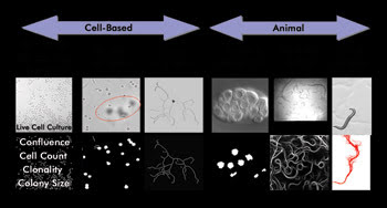 FEATdigilab_Fig2.jpg