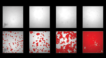 FEATdigilab_Fig3.jpg