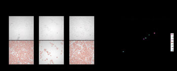 FEATdigilab_Fig4.jpg