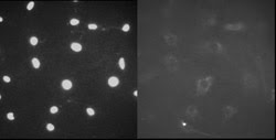 FEATdigilab_Fig5.jpg