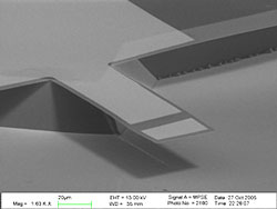 Cantilever-SEM.jpg
