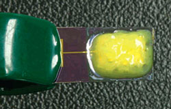 Chitosan-Hydrogel.jpg