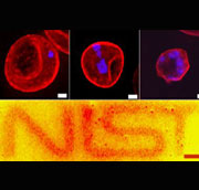 Quantum Dots