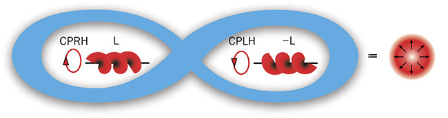  Figure 1. A representation of a radially polarized Majorana-like LG beam. A Majorana-like beam has its SAM and OAM (±L or ±l) entangled in a single particle. Bessel beams are not Majorana at z. CPRH: circular polarization right hand; CPLH: circular polarization left hand. Courtesy of Robert Alfano/The City College of New York News. 
