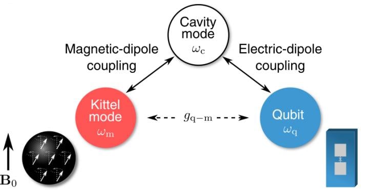 Schematic of modes of interest in the single-magnon detector. The uniformly-processing mode of collective spin excitations in the ferromagnetic crystal, called Kittel mode, is coherently coupled to a superconducting qubit through a microwave cavity mode. Courtesy of Dany Lachance-Quirion.