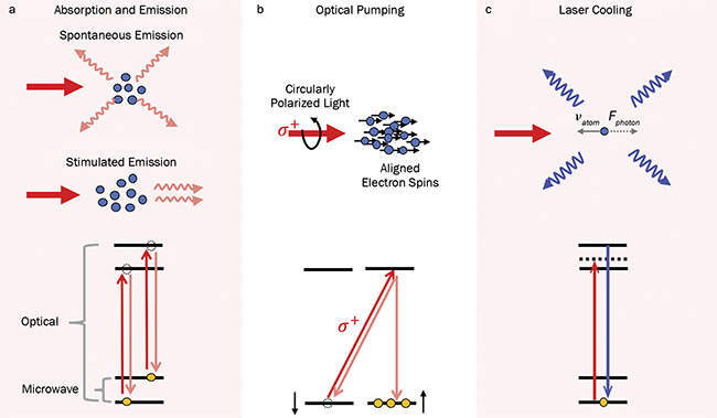  Figure 2.. Illustrations of major atom-photon interactions useful for atom-based sensing, along with the corresponding energy level diagrams: photon absorption and emission (a); use of circularly polarized light to optically pump atomic electrons into an electron spin state, thus effectively aligning all atomic spins along the same direction (b); laser cooling, in which an atom with velocity ?atom absorbs a counter-propagating photon and undergoes spontaneous emission of a photon in a random direction. After many photon absorption-emission cycles, the resulting net force Fphoton counters the motion of the atom (c). Courtesy of J. Choy. 