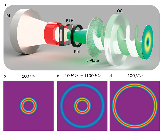 Figure 2. An illustration of a laser cavity with an intracavity nonlinear crystal (KTP), polarizer (Pol), and metasurface (J-plate), excited by an infrared pump, with the green light emerging from the output coupler (OC) mirror (a). Calculated states from the laser with OAM order 10 (b), OAM order 100 (d), and the superposition (c). Figure 2(a) courtesy of Reference 3. Figure 2(b,c,d) courtesy of Hend Soor.