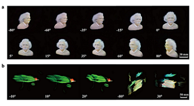 Due to the limited resolution of display panels, current 3D displays suffer from a trade-off that factors in the spatial resolution, angular resolution, and viewing angle. Inspired by the so-called “spatially variant resolution imaging” found in vertebrate eyes, A team of researchers at Soochow University (China) has proposed a 3D display with spatially variant information density. Performance of the foveated glasses-free 3D display is shown. (a): Images of Albert Einstein and (b): whales and lotus leaves, observed from various views with natural motion parallax and color mixing. The number shown in the lower left corner represents the viewing angle of the image. Courtesy of Jianyu Hua, Erkai Hua, Fengbin Zhou, Jiacheng Shi, Chinhua Wang, Huigao Duan, Yueqiang Hu, Wen Qiao, and Linsen Chen.