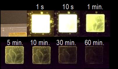 By tweaking the emission mechanism and the molecules used, researchers improved the performance of organic glow-in-the-dark materials by tenfold. The resulting emissions lasted for over one hour in air at room temperature. Courtesy of OIST.