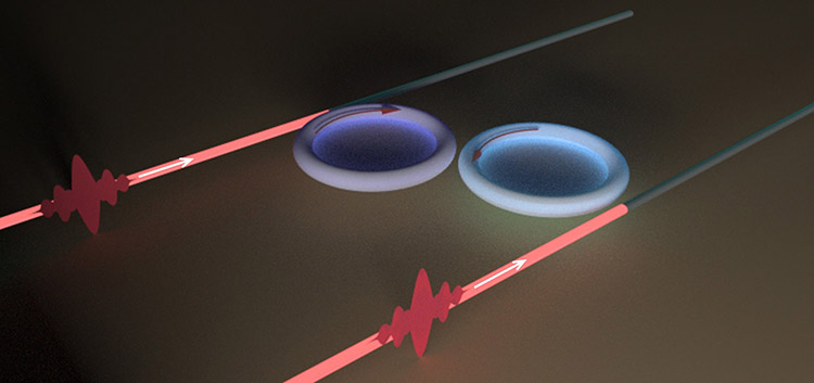 Researchers created two WGM microresonators with different absorption losses and coupled their optical fields by setting them close together. Each resonator is coupled to a fiber waveguide. By changing the gap between the resonators and waveguides, they were able to tune the coupling loss. Courtesy of University in St. Louis/Lan Yang.