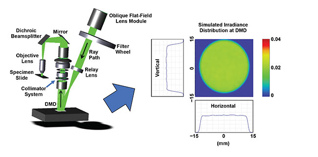 Figure 7. The optical concept layout for a digital micromirror device (DMD)-based system that incorporates top hat illumination to create patterned projections in superresolution microscopy and optogenetics. The concept is based on an oblique version of the module from Figure 4. Simulated irradiance is shown using the Zemax OpticStudio optical design program. Courtesy of Advanced Products Corporation Pte. Ltd.