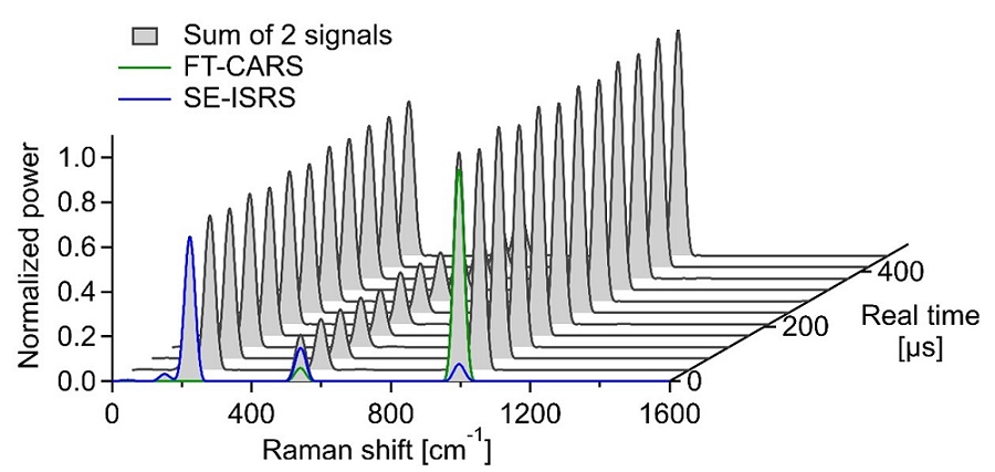 DIVS enables THz-fingerprint Raman spectra (gray trace) at an ultrafast, real-time spectral acquisition rate of 24,000 spectra/sec. The key novelty of the method is the simultaneous detection of two complementary Raman signals: SE-ISRS (THz region-sensitive, blue trace) and FT-CARS (fingerprint region-sensitive, green trace). Courtesy of Peterson et al.
