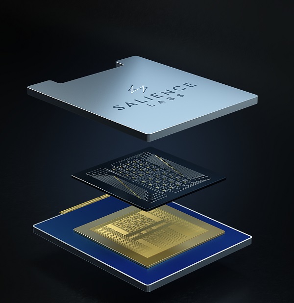 Salience Labs' multi-chip processor, combining photonics and electronics for ultra-high speed AI applications. Courtesy of Salience Labs.