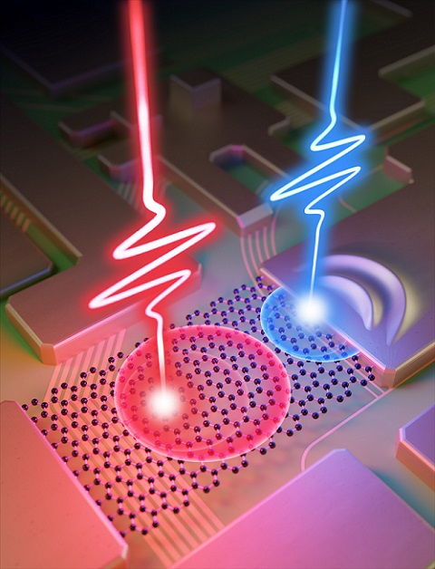 Synchronized laser pulses (red and blue) generate a burst of real and virtual charge carriers in graphene that are absorbed by gold metal to produce a net current. Courtesy of Michael Osadciw, University of Rochester.