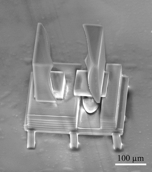 SEM image of a printed glass Alvarez lens, the right element can be moved to change the power of the Alvarez lens. Courtesy of Hong et al.