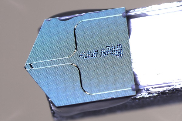 An optical chip with ring-shaped light storage, called a microring resonator, and a fiber-optic coupling. The chip is only three millimeters wide, and the ring resonator at its tip has a radius of 0.114 millimeters. Courtesy of Armin Feist, Max Planck Institute for Multidisciplinary Sciences.