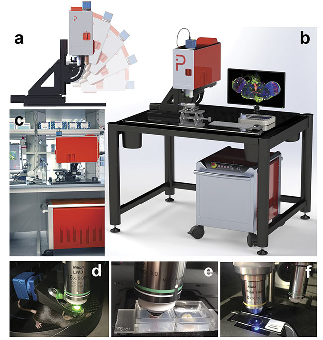 Figure 1. An ultrafast air-cooled fiber laser engine is integrated into the free-moving scan head of the MPX-1040 microscope (a). The microscope consists of two parts (b, c) that are connected through a flexible umbilical cord. Example uses include live-mouse multiphoton imaging (d), whole organ multiphoton imaging of a mouse kidney (e, left) and colon (e, right), and imaging of standard 2D samples mounted on an objective slide (f). Courtesy of Prospective Instruments.