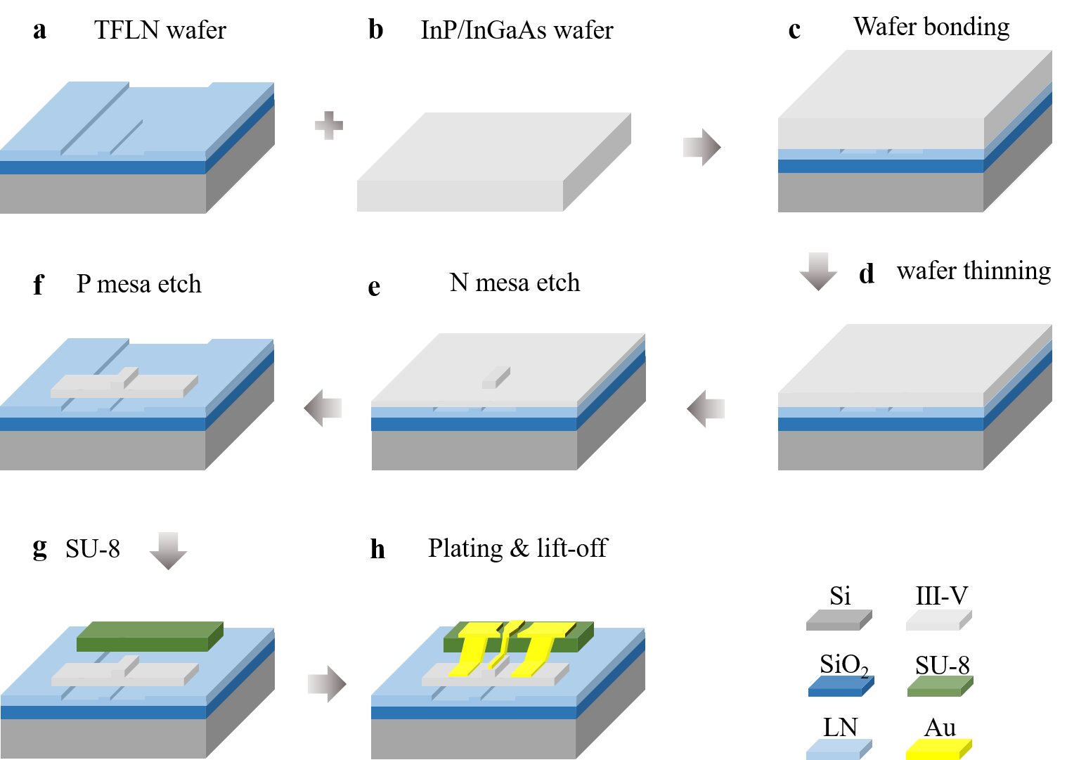 (a): TFLN wafer with pre-defined waveguide and passive components. (b): Bare InP/InGaAs wafer. (c): InP/InGaAs wafer and TFLN wafer bonding. (d): InP/InGaAs wafer substrate removal. (e): N mesa dry etch. (f): P mesa dry etch. (g): SU-8 base for CPW pad. (h): Metal electroplating and lift-off. Courtesy of C. Wei, Y. Yu, Z. Wang, L. Jiang, Z. Zeng, J. Ye, X. Zou, W. Pan, X. Xie, and L. Yan.