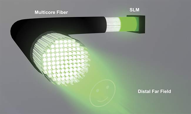 Figure 2. This schematic demonstrates the principle of controlled light-field generation through a 50-cm-long lensless microendoscope. Adapted with permission from Reference 4.