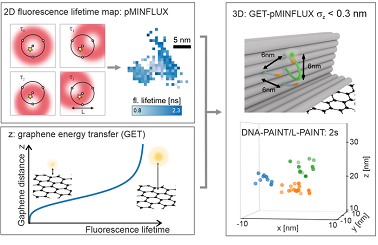 (a): pMINFLUX interrogates the position of a fluorophore with multiple spatially displaced doughnut beams and yields 2D fluorescence lifetime images with nm precision. (b): Graphene provides a measure for the axial distance to graphene. The fluorescence lifetime shortens the closer a fluorophore is to graphene. (c): Combining the lateral information of pMINFLUX with the axial graphene distance information yields 3D localizations. GET-pMINFLUX yields photon-efficient localizations with nm precision. This enables L-PAINT. The schematic of the DNA origami structure has a DNA-pointer protruding. this dense structure is localized within 2 s with nm precision and in 3D by combining L-PAINT and GET-pMINFLUX. Courtesy of J. Zähringer, F. Cole, et al.