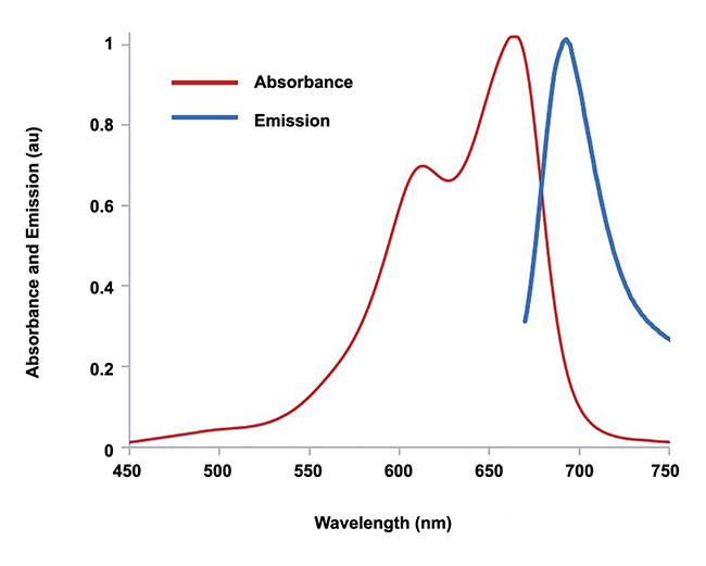 Figure 1. Absorbance and emission spectra of a 0.05 mg/mL aqueous solution of methylene blue. Courtesy of Advanced Biophotonics Lab/University of Massachusetts Lowell.