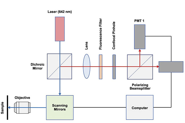 Figure 2. A diagram of a confocal fluorescence emission and polarization imaging system. Courtesy of Advanced Biophotonics Lab/University of Massachusetts Lowell.