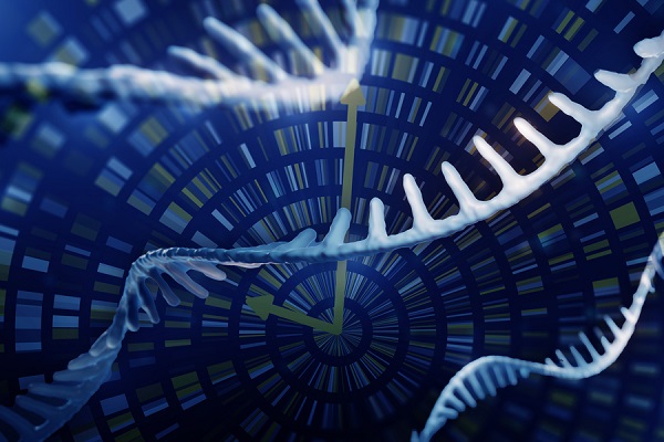 A new method from MIT researchers can track changes in live cell gene expression over extended periods of time. Based on Raman spectroscopy, the method does not harm cells and can be performed repeatedly. Courtesy of MIT News/iStock.
