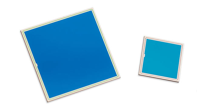 Silicon Photodiode Chips