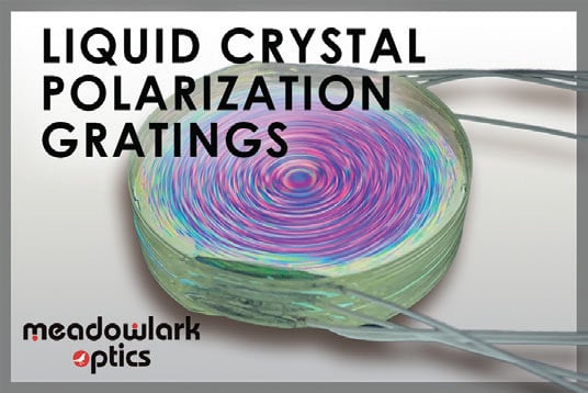 Liquid Crystal Polarization Gratings