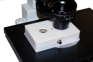 Microscience_Figure3.jpg