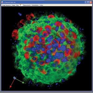 Microscience_Figure4.jpg