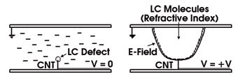 TBC_Figure1.jpg