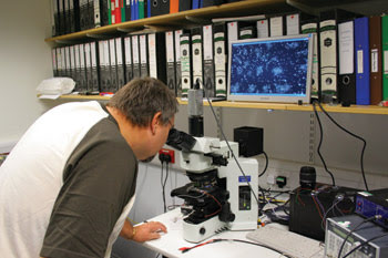 TBC_Figure5.jpg