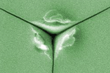 NIST Technique
