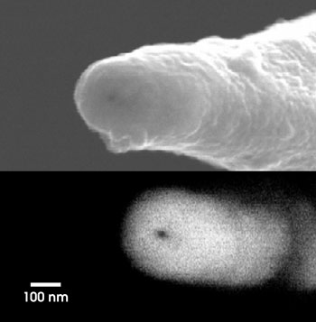 MicroNSOM_Fig1_1.jpg