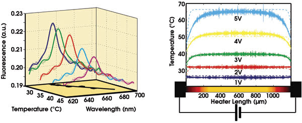 NanoTempDot_sideways.jpg
