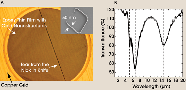 NanoSkiving_Fig1.gif