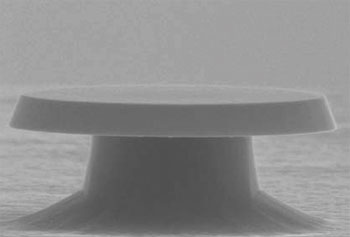 NanoCavity_Fig1_Microcavity.jpg