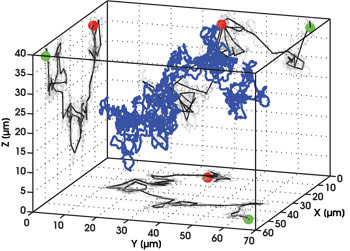NanoTracking_trajectory.jpg