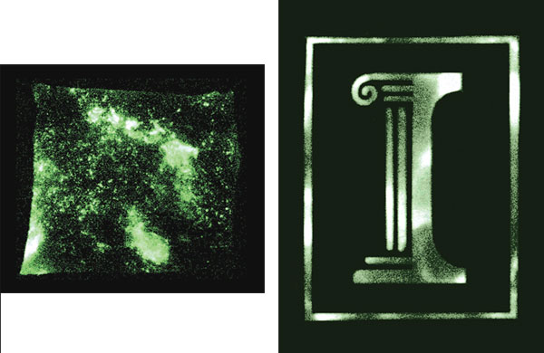 NEW-Figure-1.jpg