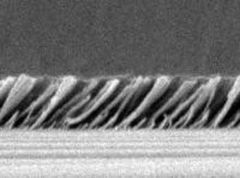 PTCoating_Fig2_antireflect1.jpg